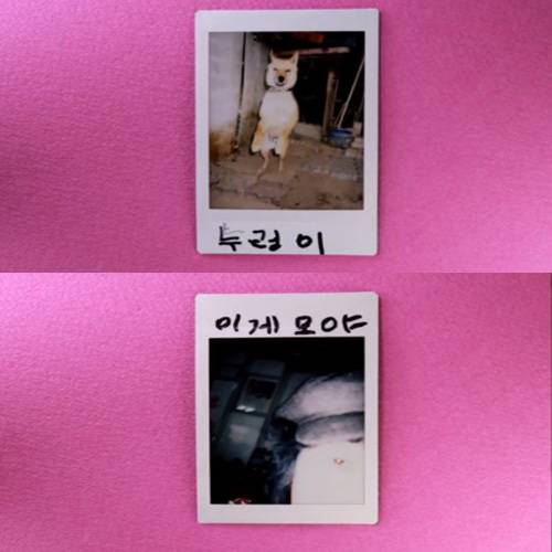 출처: korea_grandma 인스타그램