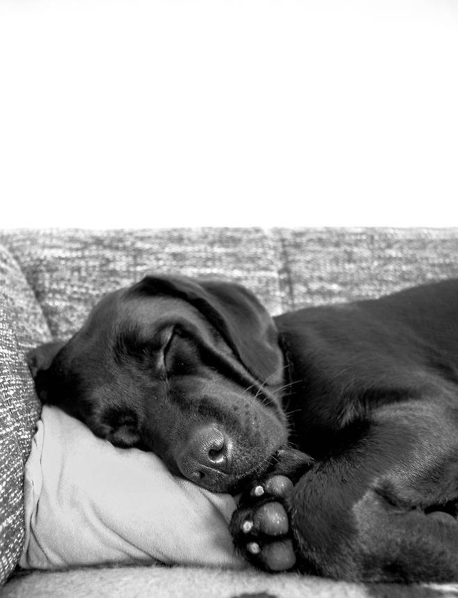 출처: 픽사베이