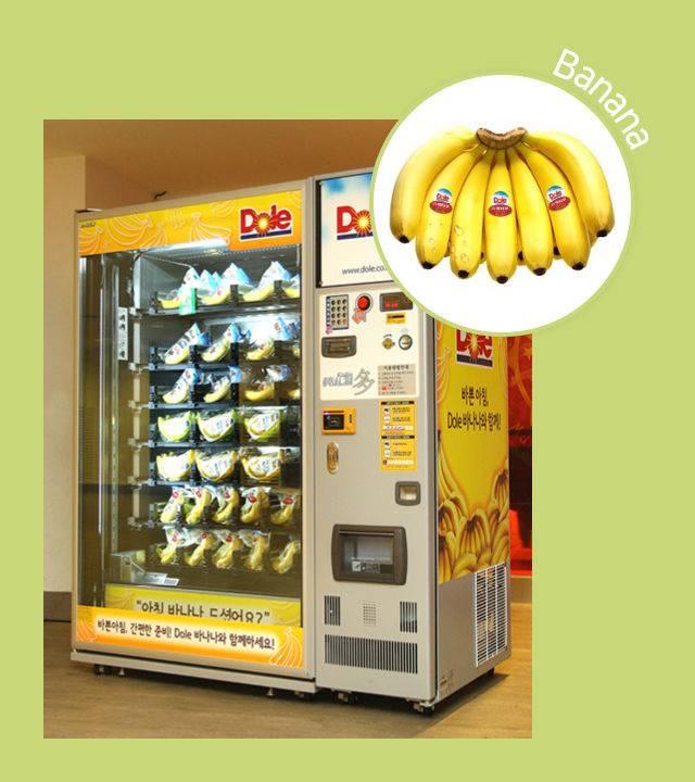 출처: 돌코리아