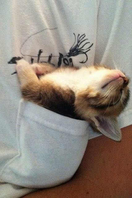 출처: www.badabun.net