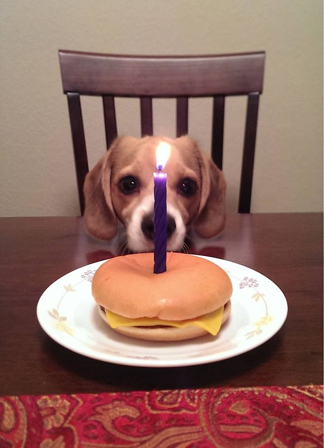 출처: 보어드판다