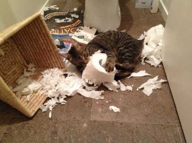 출처: 다음 카페 ∙ 아름다운 5060