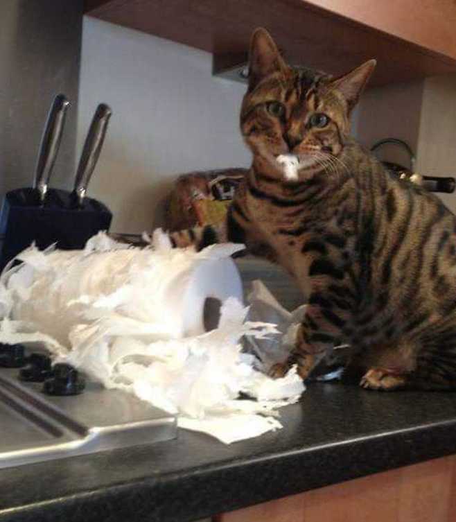 출처: 다음 카페 ∙ 아름다운 5060