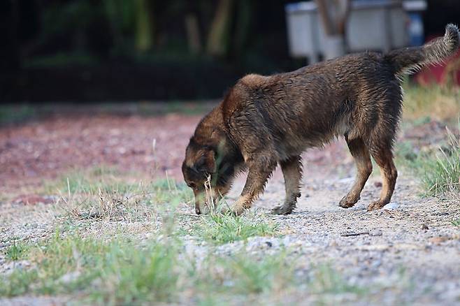 출처: gettyimagesbank