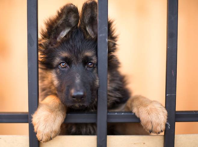 출처: gettyimagesbank