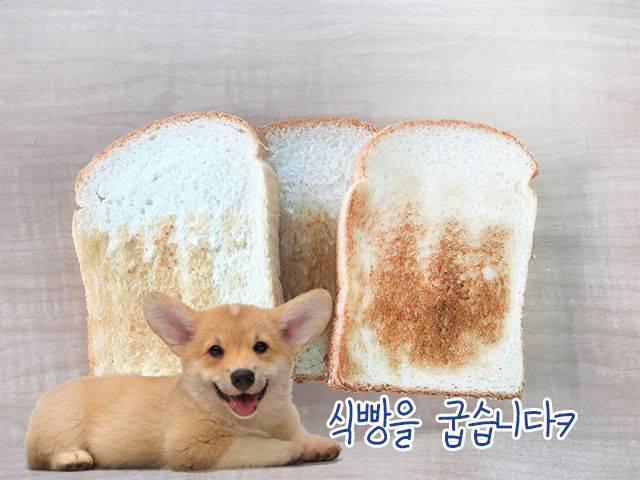 출처: 게티이미지뱅크