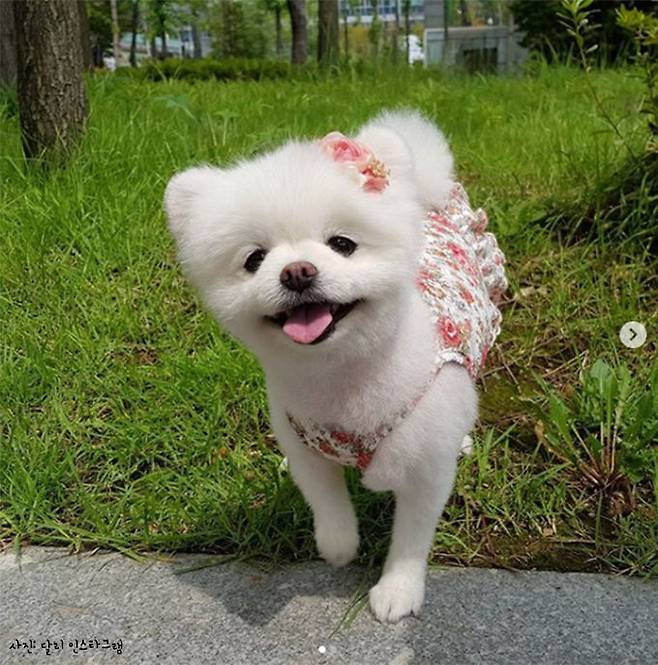 출처: 달리 인스타그램