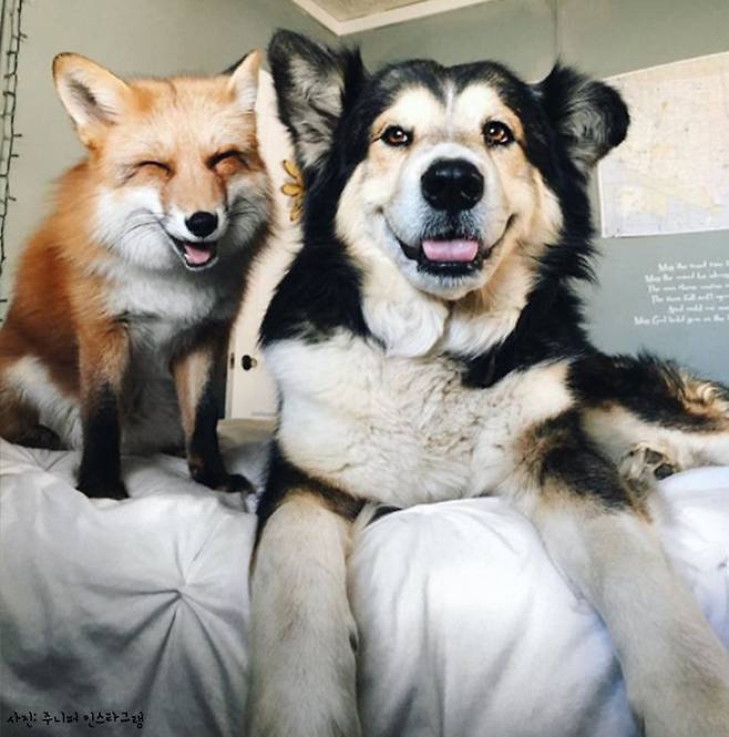 출처: 주니퍼 인스타그램