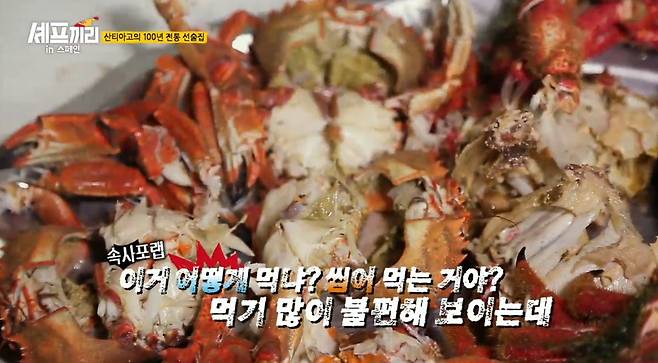 출처: SBS플러스 '셰프끼리2' 캡처