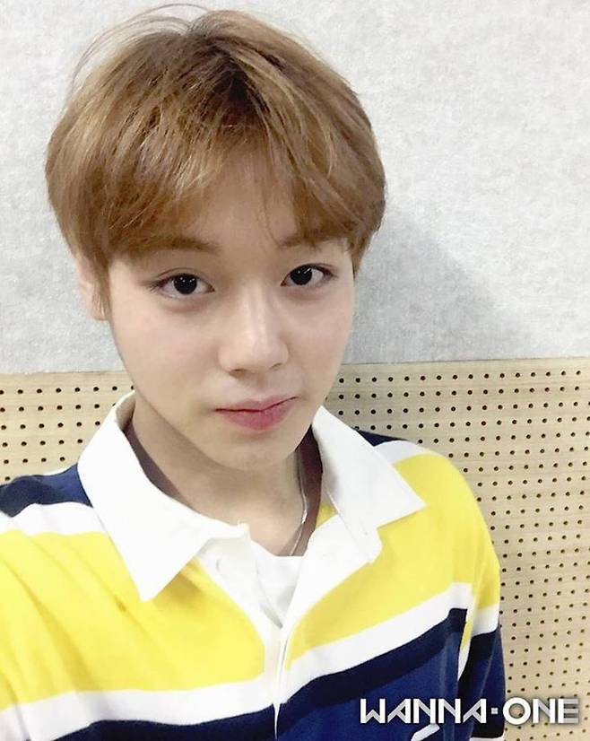 출처: 워너원 공식 인스타그램