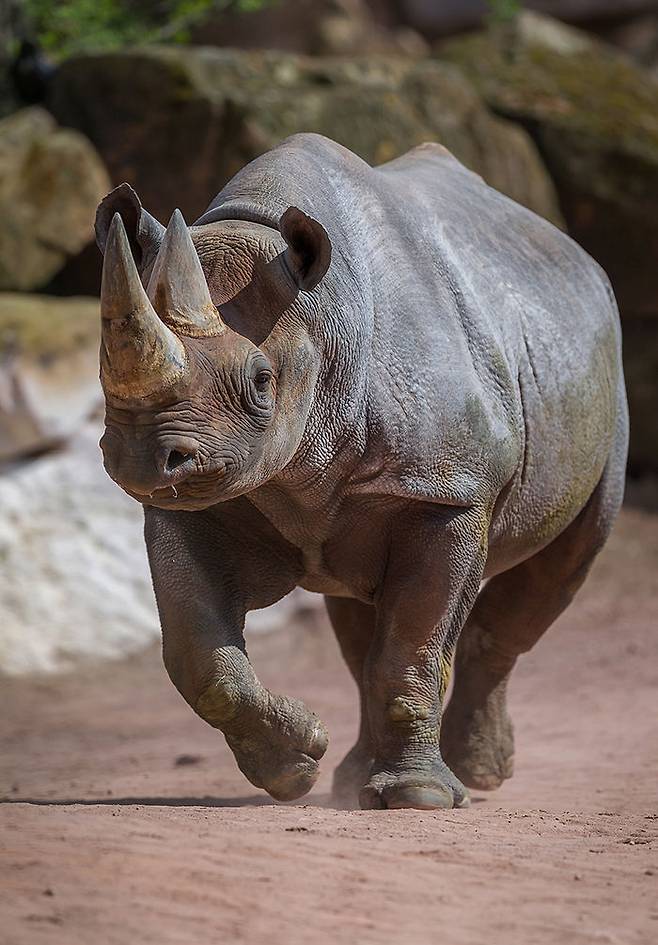 출처: The Wasp Factory