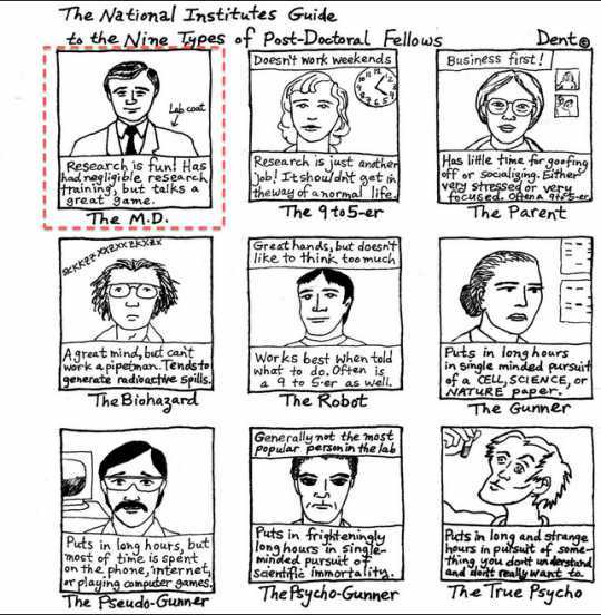 출처: DEAR CARTOONS