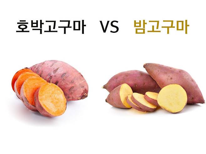 출처: 123RF