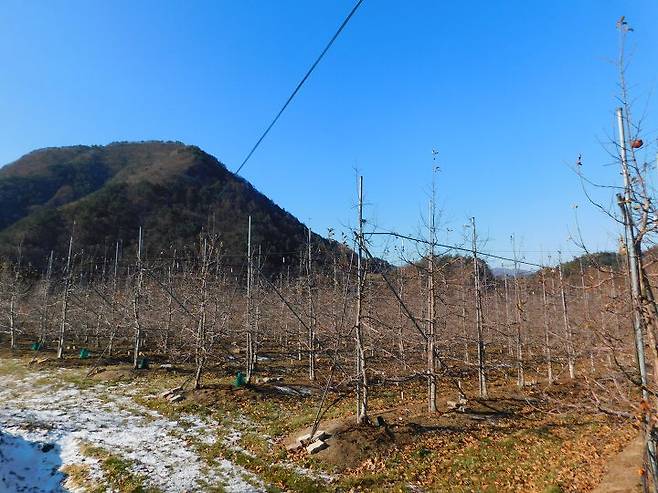 출처: 리얼푸드