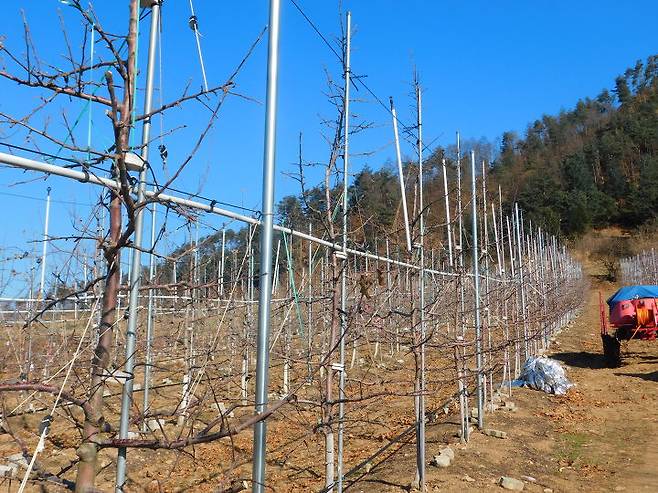 출처: 리얼푸드