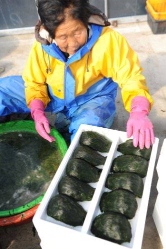 출처: 자연과 생태