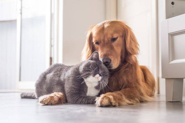 출처: fotolia
