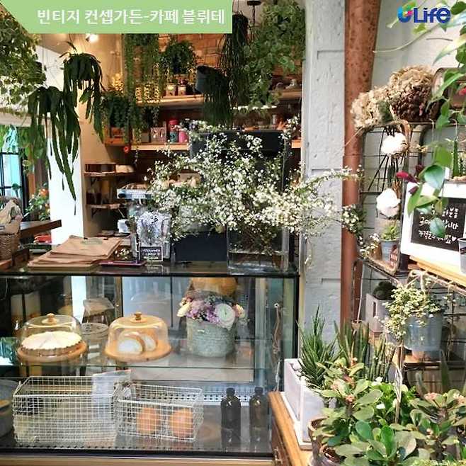 출처: 블뤼테 제공