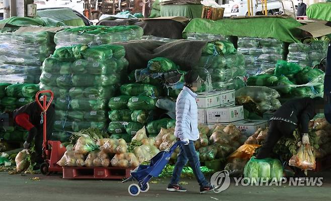 가락농수산물종합도매시장 [연합뉴스 자료사진]