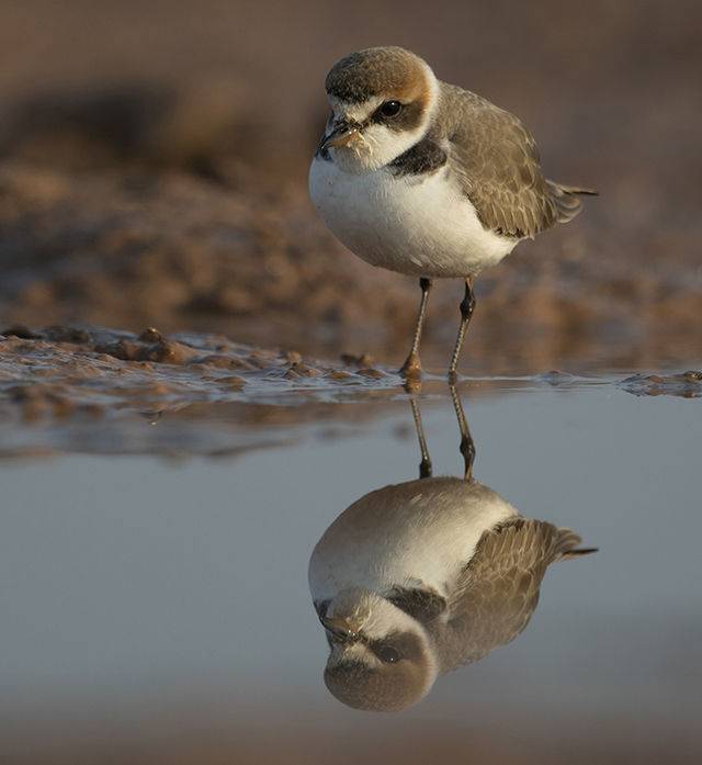 출처: 게티이미지뱅크