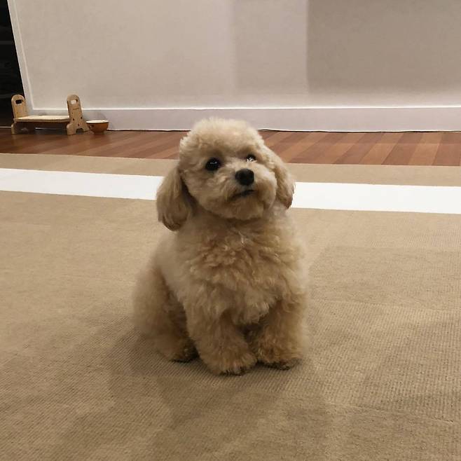 출처: 이해리 인스타그램