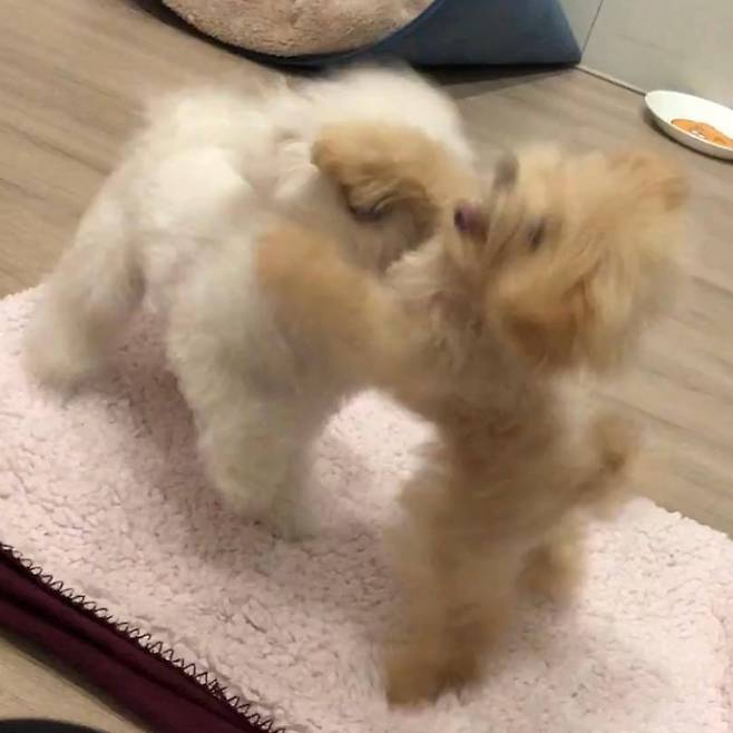 출처: 휴지 인스타그램