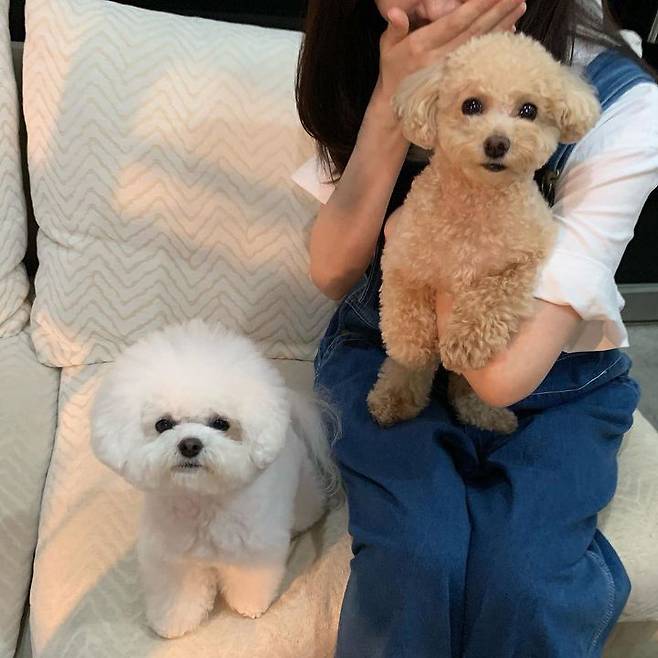 출처: 휴지 인스타그램