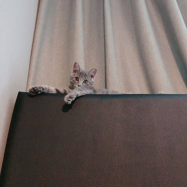 출처: 써니 인스타그램