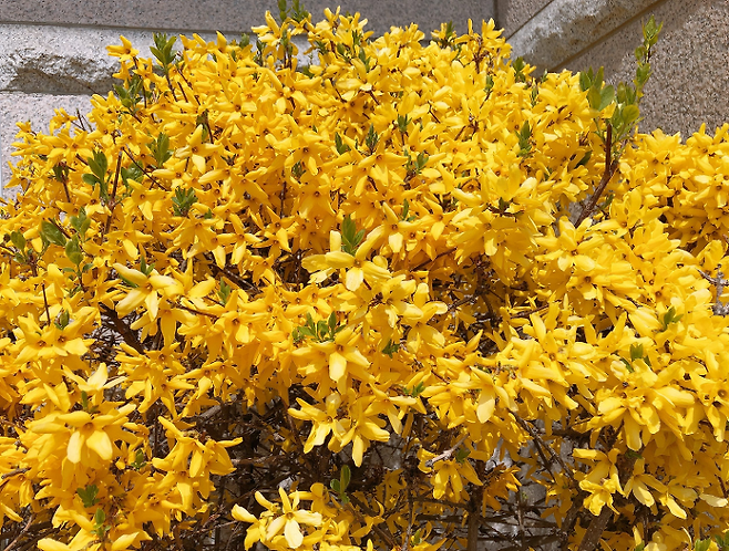 출처: 친절한 마녀