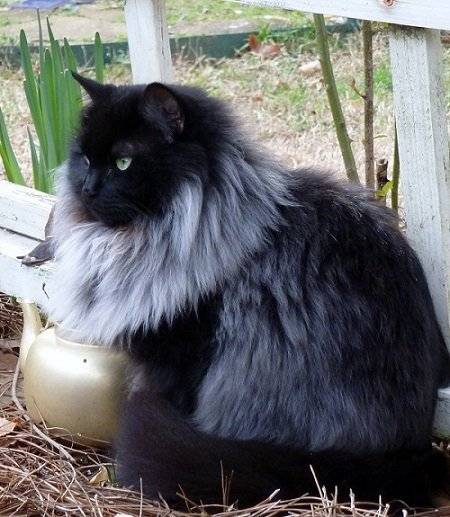 출처: https://www.reddit.com