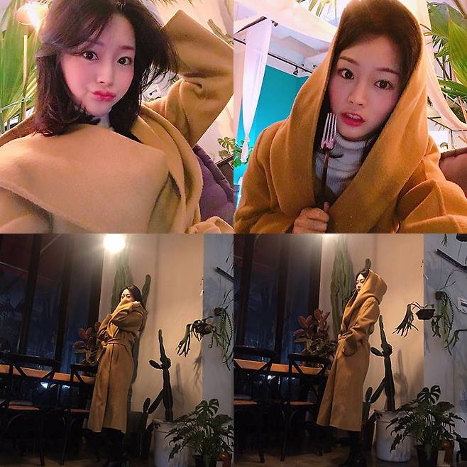 출처: 파이베트