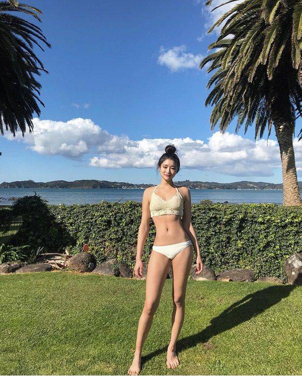 출처: 파이베트