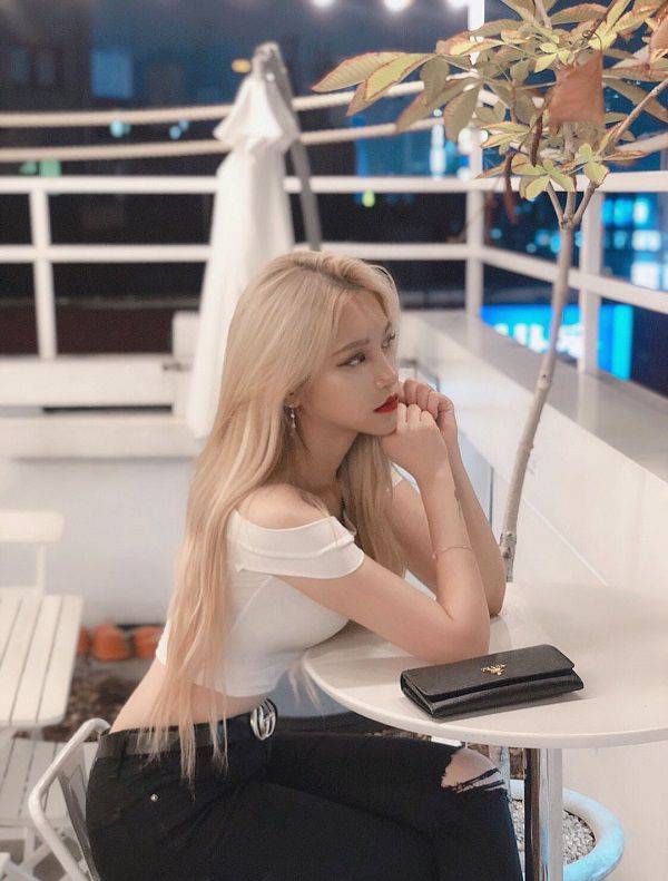 출처: 파이베트