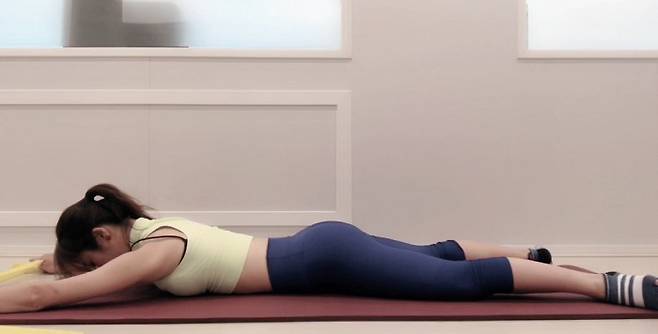 출처: 파이베트