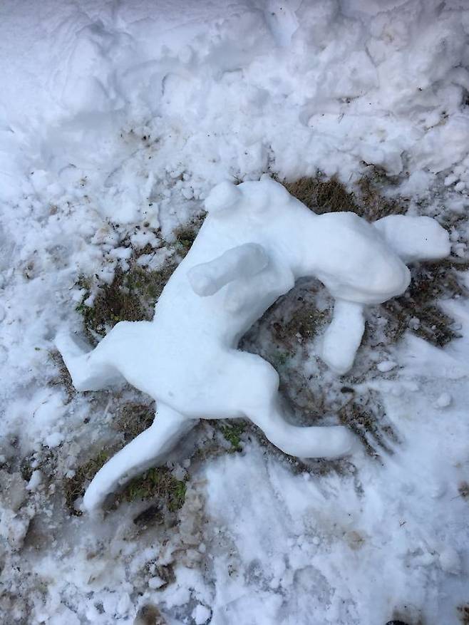 출처: Bored Panada