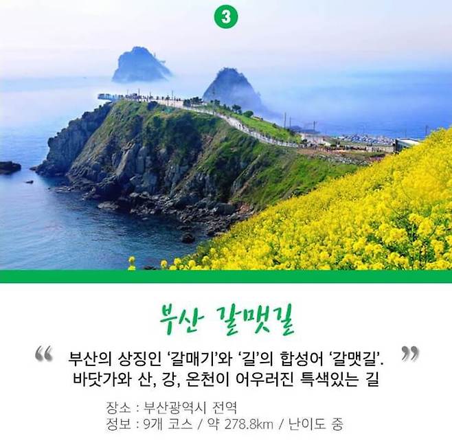 출처: 다음 뉴스 – 서울경제