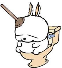 출처: 커뮤니티