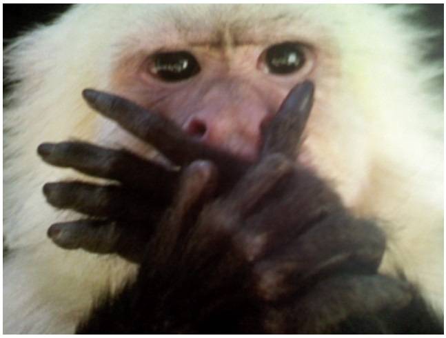 출처: 커뮤니티