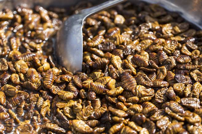 출처: gettyimagesbank