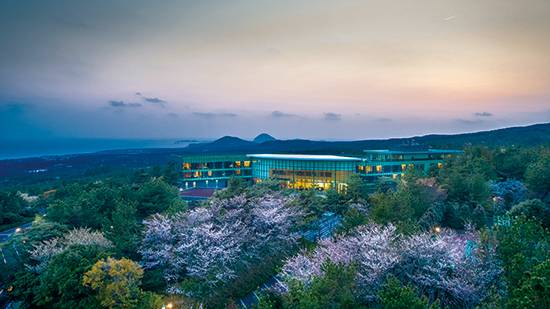 WE 호텔 제주의 ‘언택트 봄 패키지’