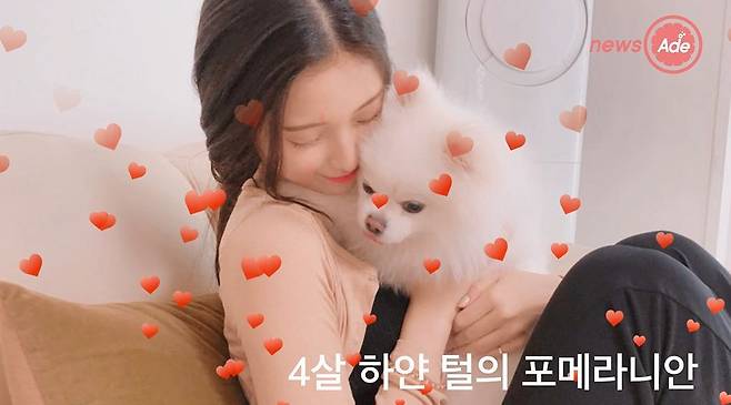 출처: 아이돌3분백과 영상 캡처