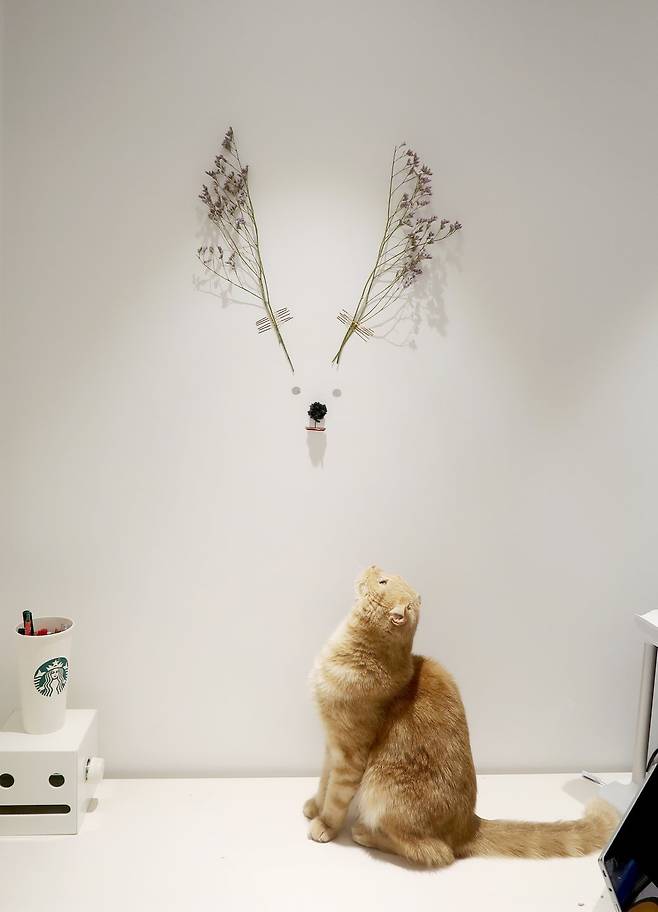 출처: 오늘의집 제품정보 모아보기(▲이미지클릭)