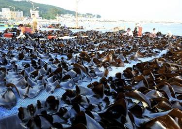 출처: [한국관광공사 대한민국 구석구석]