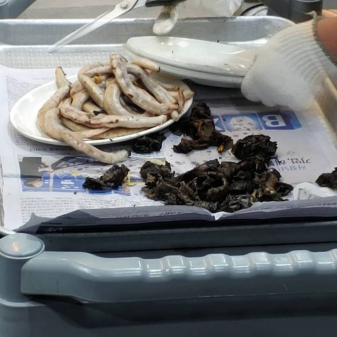 출처: chaeyeon님 인스타그램