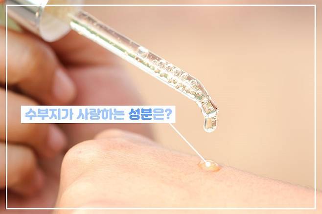 출처: Sutterstock