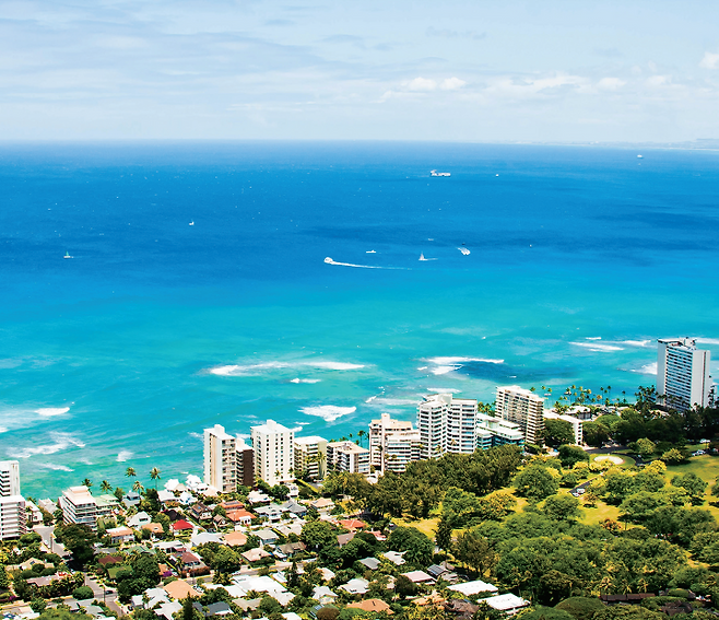 출처: 하와이 100배 즐기기