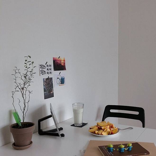 출처: 오늘의집 제품정보 모아보기(▲이미지클릭)