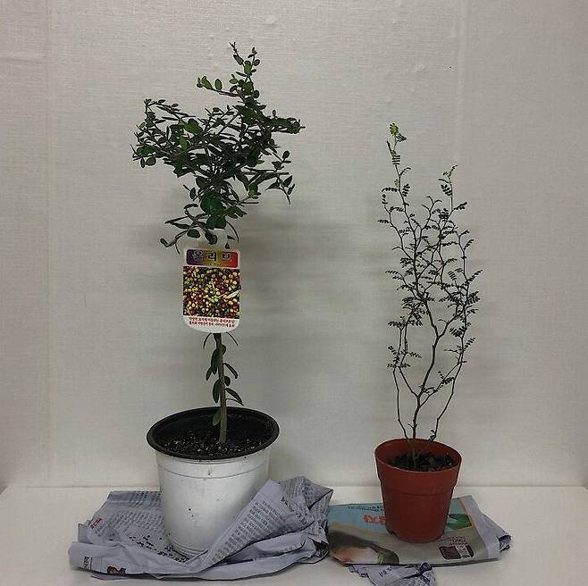 출처: 오늘의집 제품정보 모아보기(▲이미지클릭)