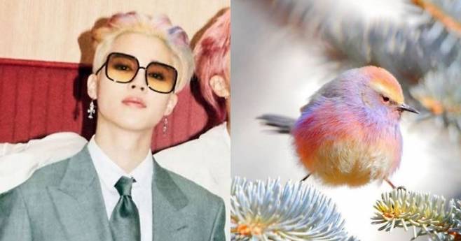 방탄소년단 지민(BTS JIMIN)