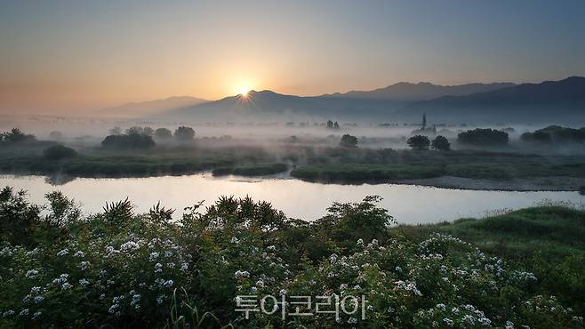 곡성 침실습지의 아침